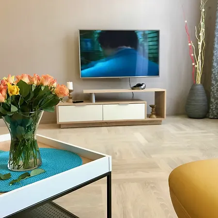 Apartman Art Spalena *